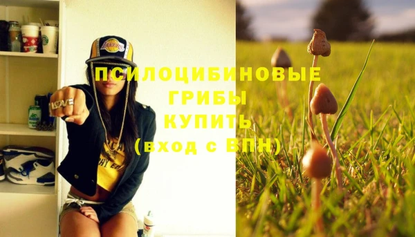 ешки Нязепетровск