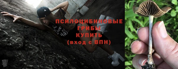 ешки Нязепетровск
